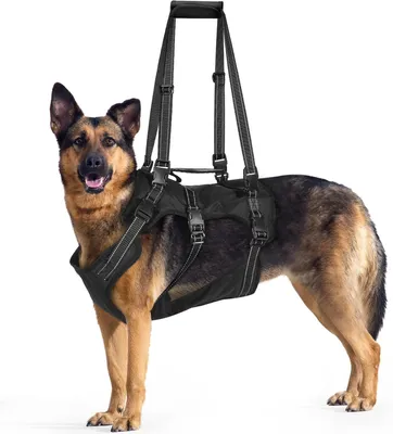 Immagine prodotto di Imbracatura regolabile per cani, guinzaglio di supporto con strisce riflettenti