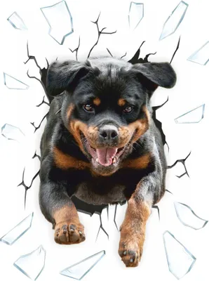Produktbild von Hermann Schütz Aufkleber Einschussloch Motiv Rottweiler 200x270mm