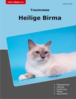 Image de Traumrasse Heilige Birma