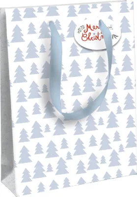 Produktbild von Clairefontaine Weihnachts-Geschenktüte "Excellia" mittel