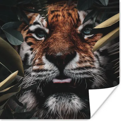 Produktbild von MuchoWow® Poster Tiger - Blatt - Tiere 100x100 cm - Babyzimmer