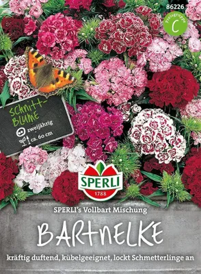 Produktbild von Bartnelke ''SPERLI´s Vollbart Mischung''