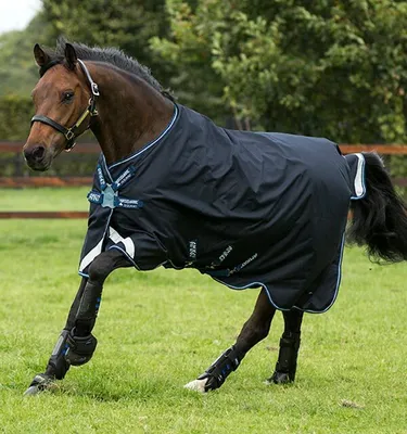 Produktbild von Horseware Amigo Bravo 12 100g Turnout Regendecke Navy/Turquoise, Horseware Deckengröße:115 cm / 5`6