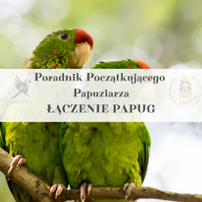 Zdjęcie produktu dla Poradnik ParrotPlanet - Poradnik Początkującego  Papuziarza - ŁĄCZENIE PAPUG
