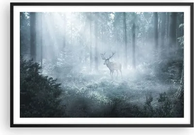 Produktbild von Gerahmtes Poster - Schwarzer Rahmen - Hirsch Wald Morgendämmerung - 91,5x61 cm - Wand Bild - Wanddeko - Wandbilder - Kunstposter - Wandposter - Bilderrahmen - Bilder - Kunstdruck - P2BAA91x61-4667