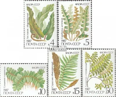 Produktbild von Briefmarken Sowjetunion 1987 Mi 5729-5733 (kompl.Ausg.) postfrisch Farne