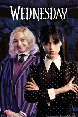 Produktbild von Wednesday Poster Enid & Wednesday 61 x 91,5 cm
