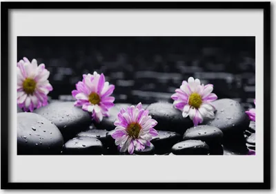 Produktbild von Bild 70x50 MDF-Rahmen Wandkunst Blume Orchidee Pflanze