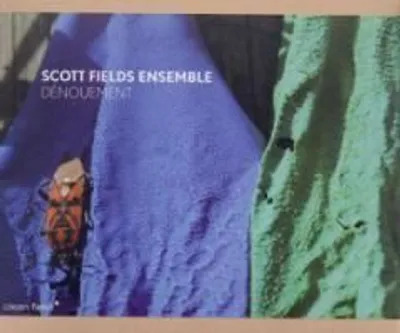 Produktbild von Fields, S: Denouement