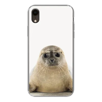 Produktbild von MuchoWow® Handyhülle Schutzhülle Hülle für iPhone XR Robbe - Tiere - Kinder - Jungen - Mädchen - Kinder Silikon Softcase Handy Hülle - Schutzdeckel