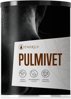 Produktbild von Pulmivet Nahrungsergänzungsmittel für Pferde bei Atemwegs- und Hautproblemen 100 g