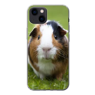 Produktbild von MuchoWow® Handyhülle Schutzhülle Hülle für iPhone 13 mini Zwei Meerschweinchen Silikon Softcase Handy Hülle - Softcase