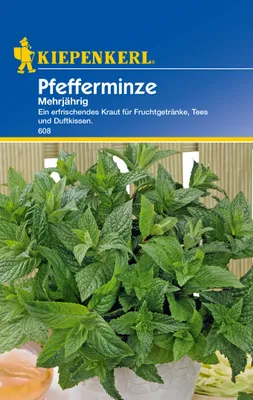 Produktbild von Kiepenkerl Pfefferminzesamen, mehrjährig