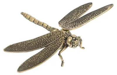 Produktbild von Libellenschmuck aus Messing - Mit abnehmbaren Flügeln - Goldfarben