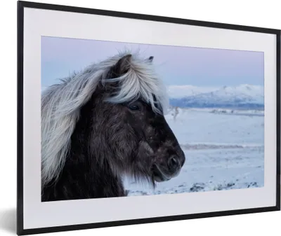 Produktbild von MuchoWow® MuchoWow® Gerahmtes Poster Pferd - Schnee - Island 60x40 cm - Poster mit zchwarzem Bilderrahmen - Schlafzimmer - Plakat in Rahmen - Drucken