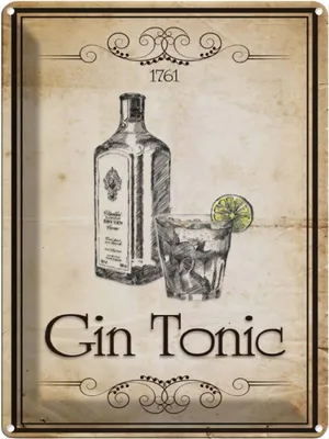 Produktbild von vianmo Blechschild 40x30 cm Alkohol 1761 Gin tonic Retro