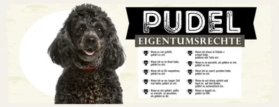 Produktbild von vianmo Holzschild 10x27 cm Hund Pudel Eigentumsrechte