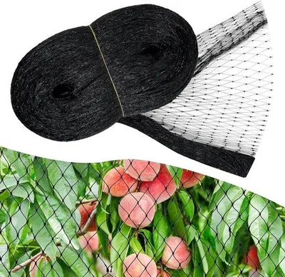 Immagine prodotto di Rete antiuccelli a maglia fine 4 x 10 m per giardini e laghetti - Rete antiuccelli resistente per alberi da frutto - Protezione contro uccelli, piccioni e foglie
