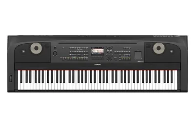 Zdjęcie produktu dla Yamaha Arius DGX-670B - digital piano