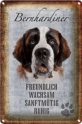 Produktbild von Blechschild Spruch 18x12cm Bernhardiner Hund