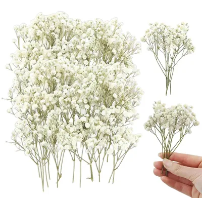 Produktbild von Getrocknete Blumen zum Basteln und Dekorieren