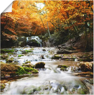 Produktbild von ARTland Poster Herbstlicher Wasserfall Größe: 50x50 cm