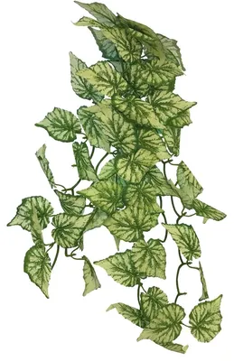 Productafbeelding van Repto Plant Hanging Hedra 65CM kunstplant voor terrariumdecoratie