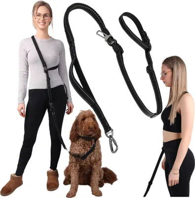 Produktbild von SPORTLEINE, HÜFTGURT, NIERENTASCHE für Hunde, VERSTELLBAR, RUCKDÄMPFER, STARK 50kg
