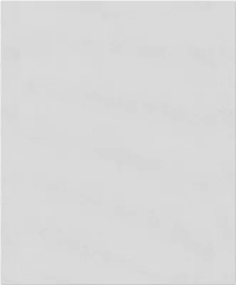 Produktbild von Erfurt Vliesfaser 1004370 Ready 301 10,05x0,53 m