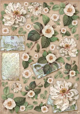 Produktbild von Motiv-Strohseide "Vintage Library - Flowers", DIN A4