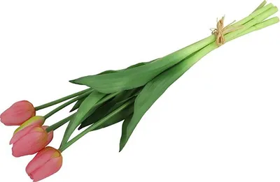 Zdjęcie produktu dla Bukiet tulipanów Countryfield – tulipany – różowe – 40 cm