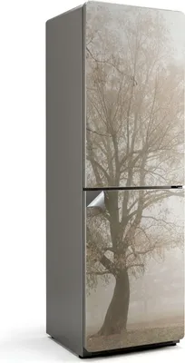 Zdjęcie produktu dla Detal liścia rośliny - Naklejka na lodówkę - Naklejka na lodówkę - Dekoracja lodówki - Samoprzylepna folia na lodówkę - Dekoracja kuchni - 60x190 cm