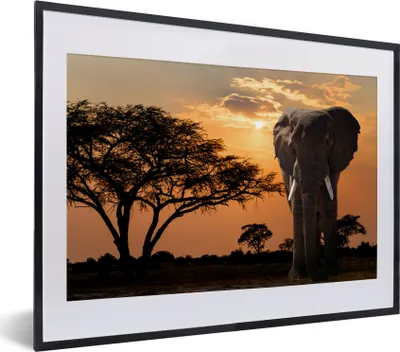 Produktbild von MuchoWow® MuchoWow® Gerahmtes Poster Elefant - Baum - Afrika 40x30 cm - Poster mit zchwarzem Bilderrahmen - Bilderrahmen - Poster im Rahmen