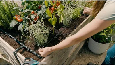 Image de Gardena MDS Bed Starter Set 35 plantes GARDENA 13455-20