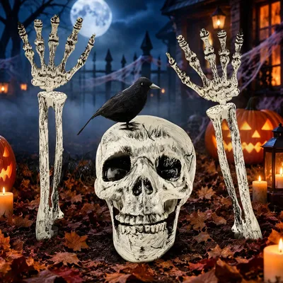 Halloween Horrorset: Totenkopf, Krähe, 2 Skelettarme