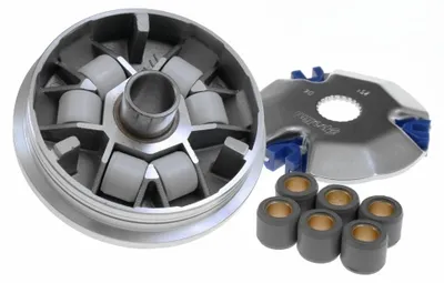 Produktbild von Variator Polini SPEED CONTROL 16 x 13 mm 4,9/6,9 g für Italjet Formula 50 AC
