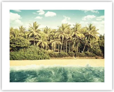 Produktbild von Poster - Poster ohne Rahmen - Natur Strand Palmen - 50x40 cm - Wand Bild - Wanddeko - Wandbilder - Kunstposter - Wandposter - Bilder - Kunstdruck - Wanddekoration - Wandbild - P2XAA50x40-4915