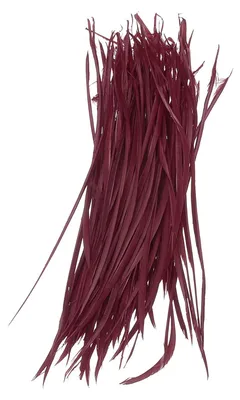 Federn, 13–17 cm, 100 Stück, weinrot, Naturfedern für Basteln