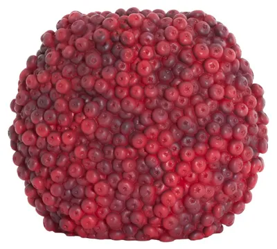 Image de Vase Berries Bordeaux en plastique – 32x18x27,5 cm