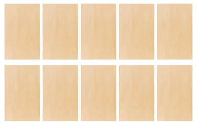 10 handgefertigte Holzplatten 20x10x0,2 cm für DIY und Basteln