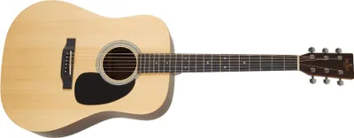 Obrázok produktu pre Sigma Guitars DT-ST