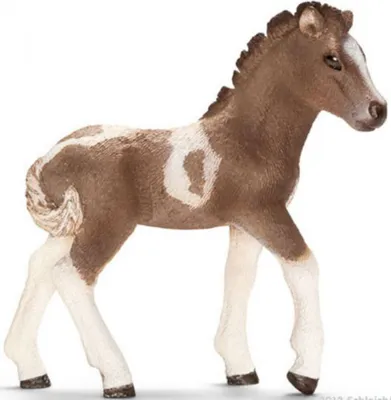 Produktbild von Schleich 13709 Island Pony Fohlen