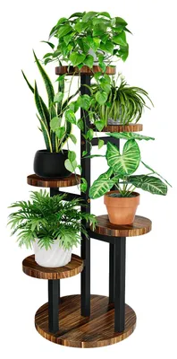 Image de Étagère à plantes 5 niveaux - Étagère en bois pour plantes - 80 cm de haut - Intérieur et extérieur