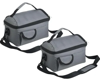 Produktbild von 2er-Set Mini-Kühltasche, faltbar, 6l: Hält Snacks & Getränke frisch – Ideal für Picknick & Büro – Kompakt, leicht & auslaufsicher