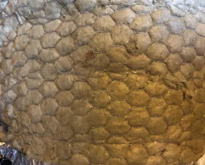 Immagine prodotto di Stuoia di lana di roccia trapuntata su rete metallica rotolo da 3m2