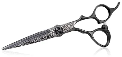 Immagine prodotto di Forbici professionali per capelli, acciaio inossidabile, stile giapponese, 6 pollici, a lama dritta