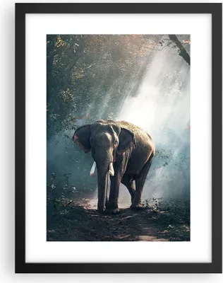 Produktbild von Gerahmtes Poster - Schwarzer Rahmen - elefant natur - 30x40 cm - Wand Bild - Wanddeko - Wandbilder - Kunstposter - Wandposter - Bilderrahmen - Bilder - Kunstdruck - Wandbild - P2BPA30x40-3972