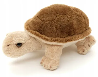 Obrázek produktu pro Uni-Toys plyšová želva MLS15124 – plyšák Uni-Toys, 14 cm