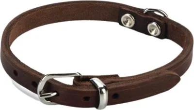 Produktbild von Beeztees Hundehalsband Leder braun, Verstellmöglichkeit: 23 - 28 cm
