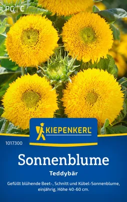 Produktbild von Kiepenkerl Sonnenblumensamen Teddybär Gefüllter Zwerg Helianthus annuus 20 Pflanzen